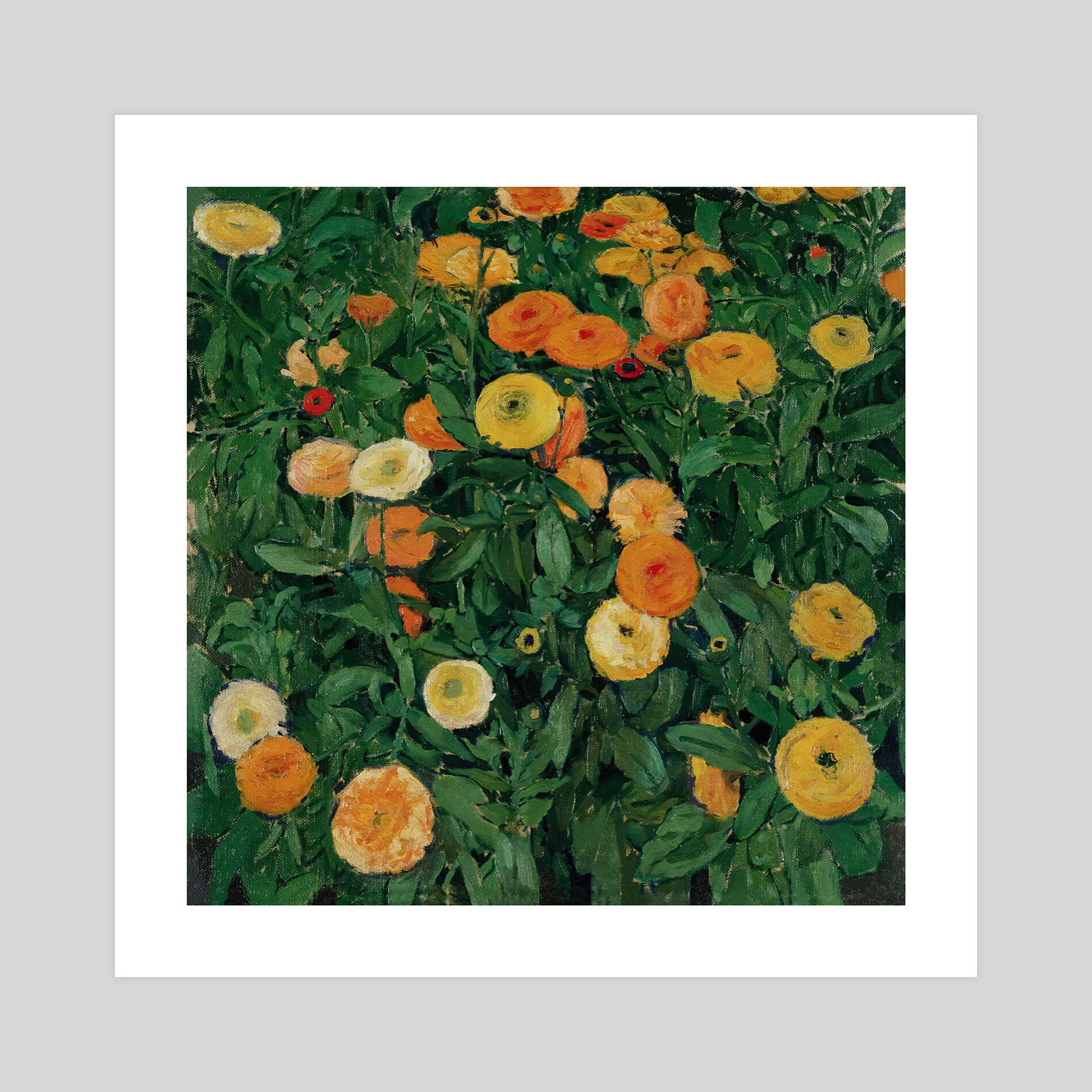 Marigolds