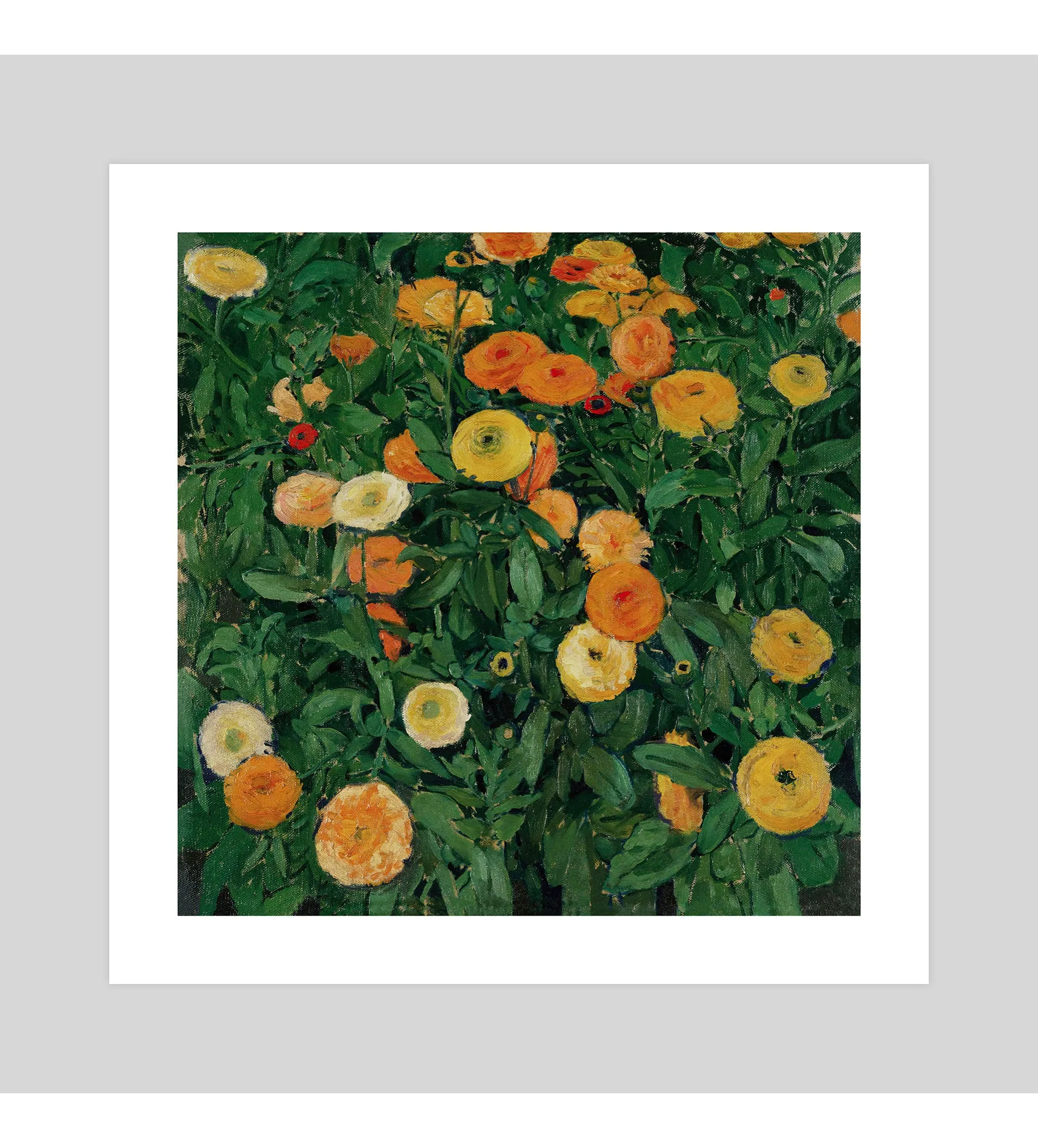 Marigolds