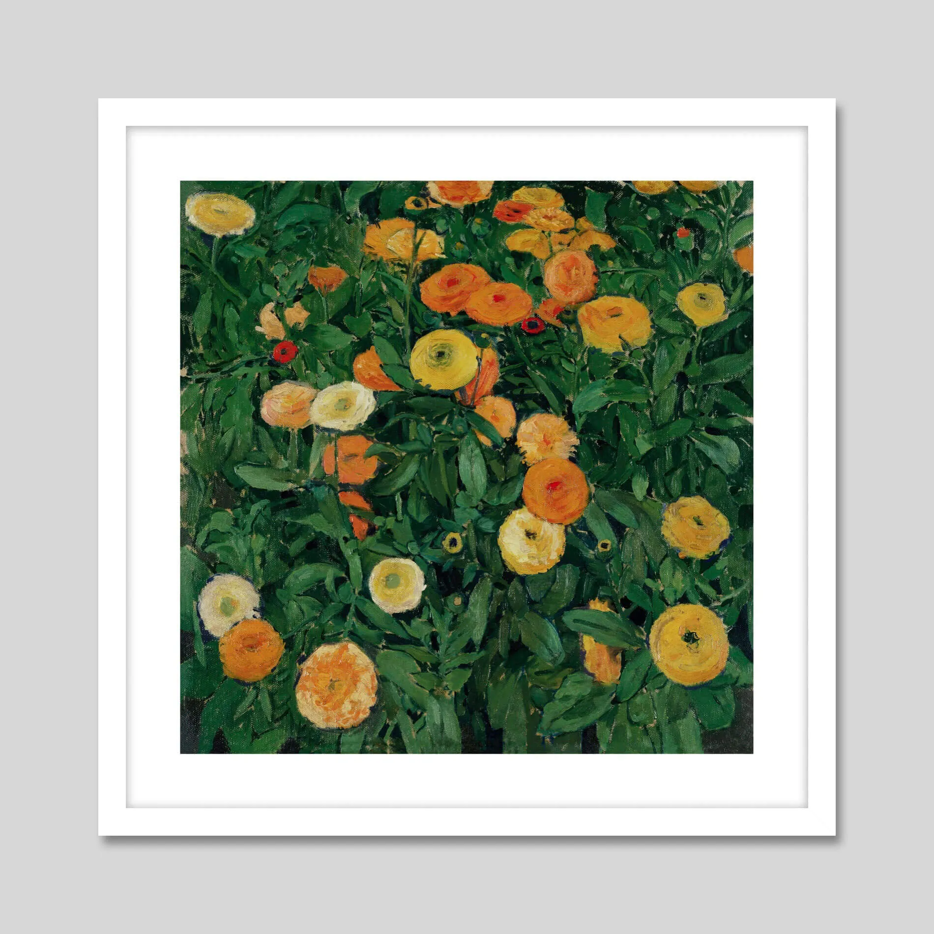 Marigolds