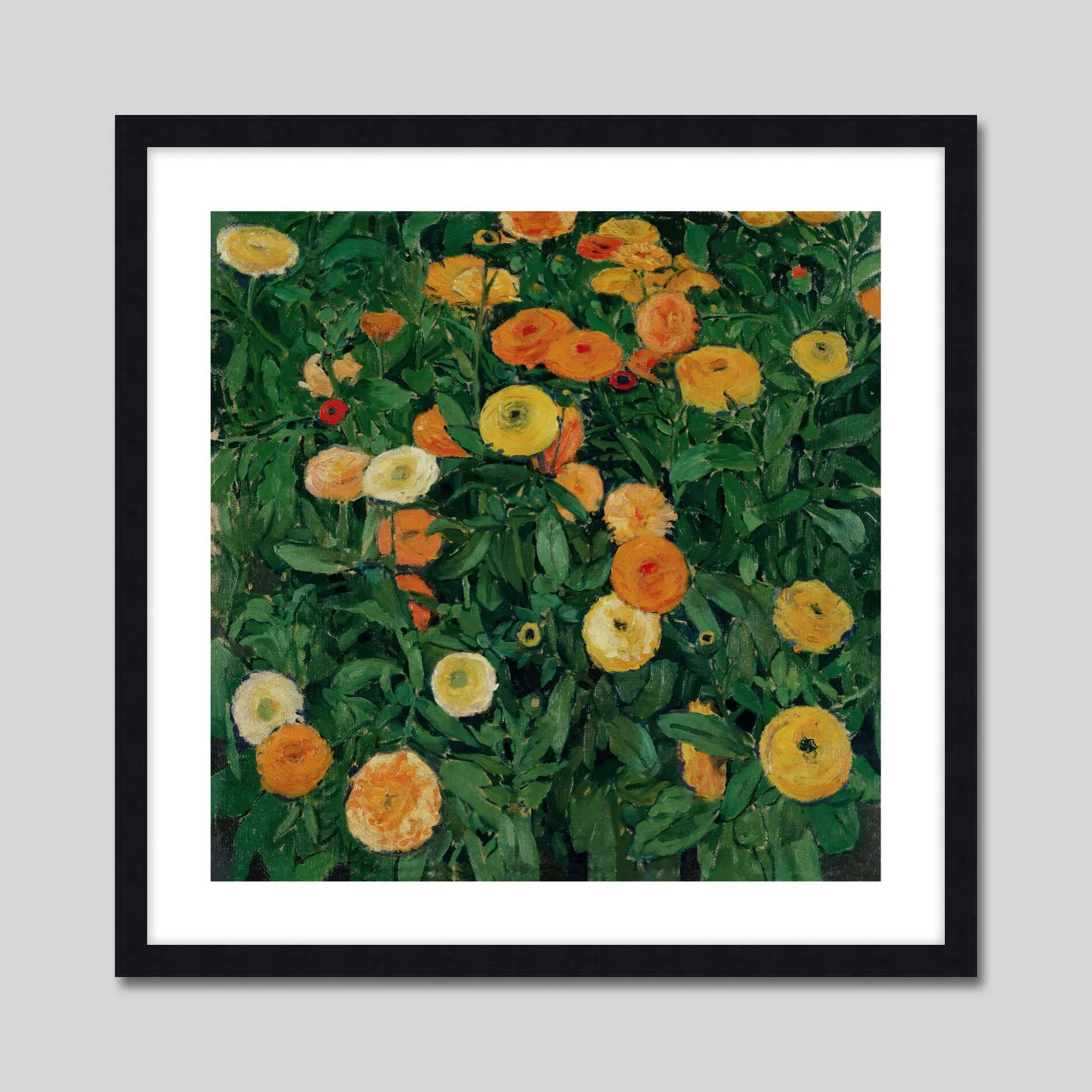 Marigolds