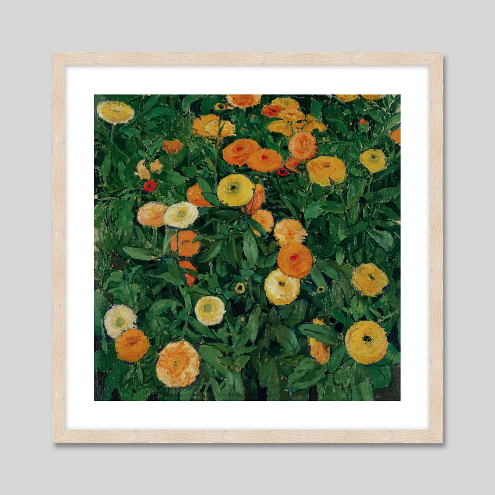 Marigolds