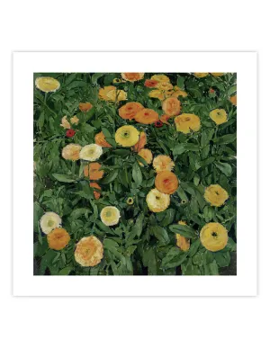 Marigolds